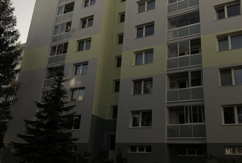Uhlava